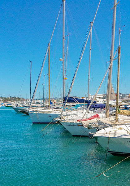 海港數(shù)字集群方案